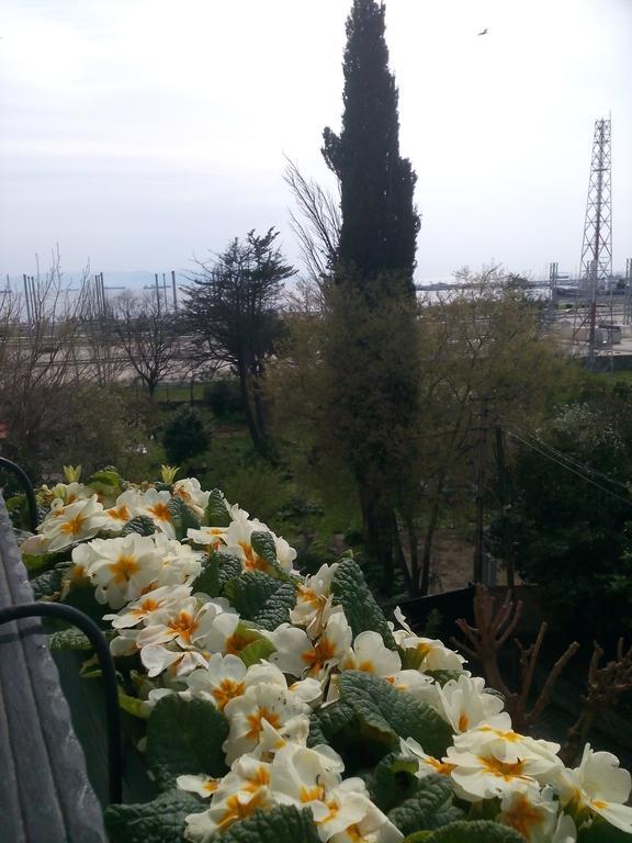Pendik Marine Hotel Estambul Exterior foto